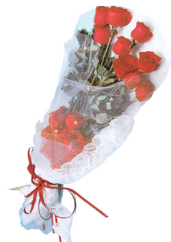 �stanbul �rem �i�ek ten 9 adet estetik k�rm�z� g�l buketi